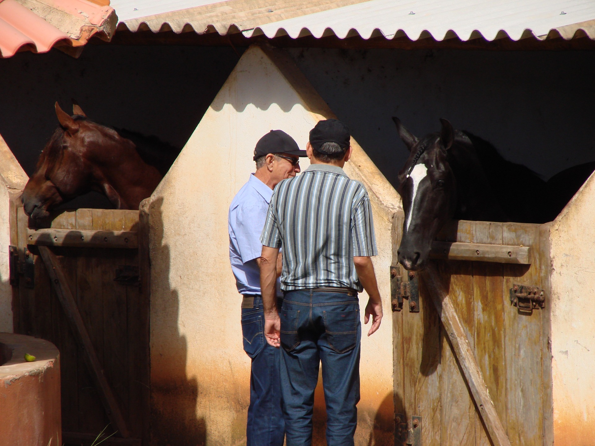 Fotos: Rogeriano Cardoso/Moc5
